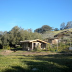DSCN2242